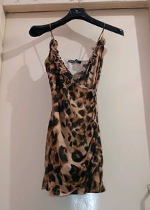 Leopard Print Mini Dress