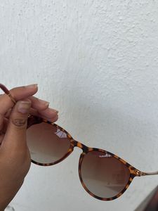 Sunglasses - Brown Tint