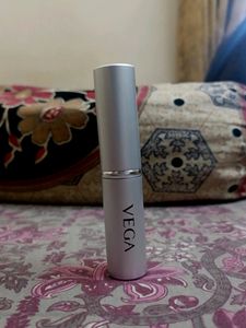 Vega Powder/Blusher Makeup Brush