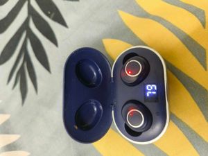 Ptron Earbuds