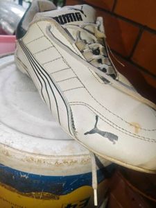 puma ferrari sf future cat shoes