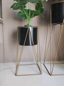 Stylish Plant Stand