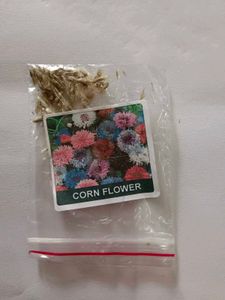 Cornflowers Seeds Mixed Colors