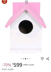 Brand New Wooden Bird House (Set of 2)