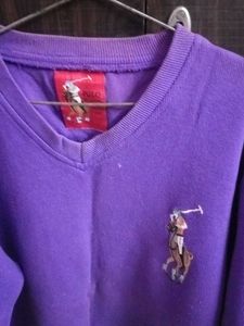 Purple V-Neck Sweater