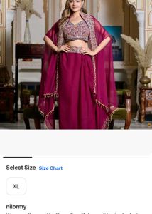 stylish Indo western