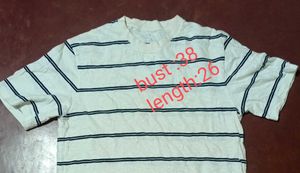 Cotton T Shirt (Pick Any @159)