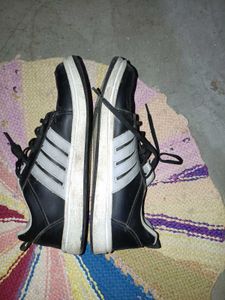 Campus Shoes Unisex