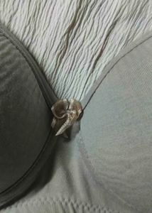 Floret Lightly Gray  Padded bra