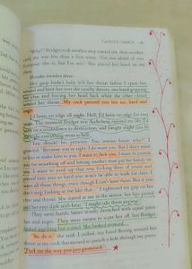 Twisted Searies by Ana Huang— 4 Novels