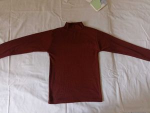 Turtle Neck Top