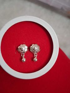 Beautiful New Silver Earrings