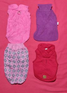 Combo 4 Piece Small Dog Winter Clothes