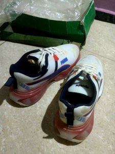 Sports Shoe
