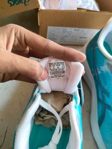 Asics Shoe