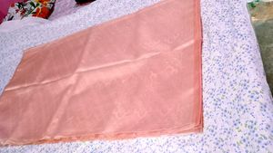 Elegant Peach Organza Silk Saree