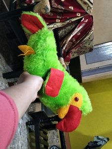 Parrot 🦜toy Sound Bhi Aata Hy