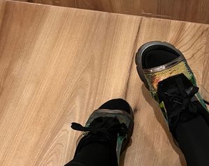 Elle Stylish Multicolor sneakers