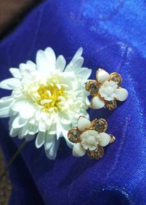 Butterfly Hair Clip &amp; Stud Earrings