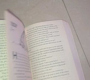 Terms and Conditions