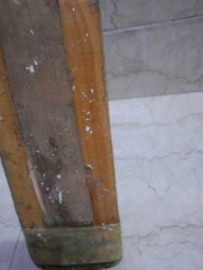 Mark Premium 1000 Cricket Bat