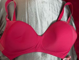 Zivame Padded Bra