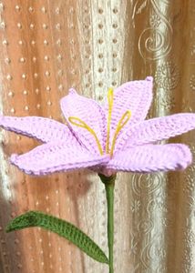 Lily Flower