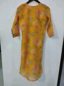 Beautiful Organza Type Suit