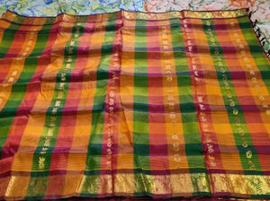 Elegant Checked Saree
