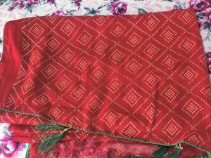 Chunri Work Saree