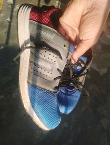 Blue Spartan Sport Shoes