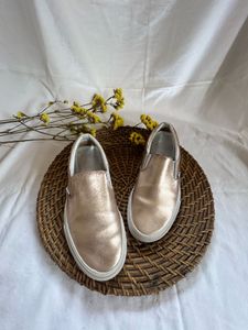 Vans Shoe
