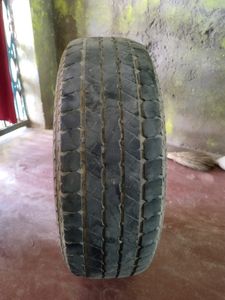 Tyres Safari Strome
