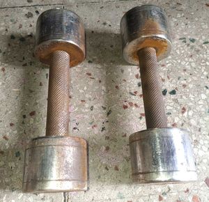 4kg 2 Dumbell