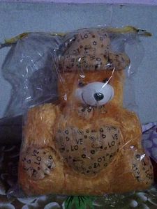 Cute Teddy Bear with Hat