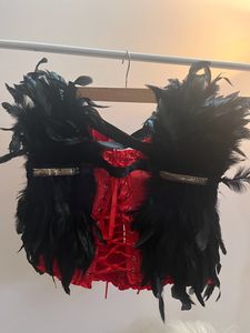 Devil Feather Corset