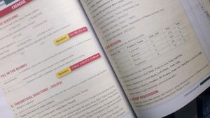 Class 10 Computer Book