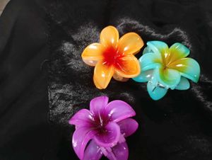 Tropical Blood Clutch Set