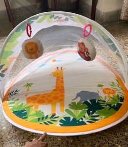 First Play Safari Playgym