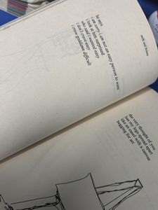 Milk and Honey by Rupi Kaur