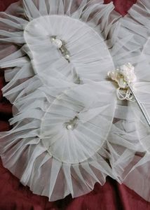 Fairy Wings Pari Wings