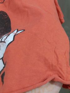 Crop Top Donald Duck