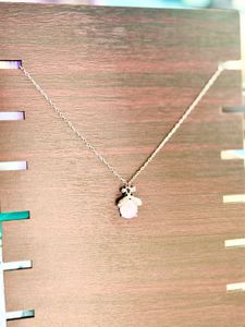 Elegant Anti Tarnish Silver Necklace
