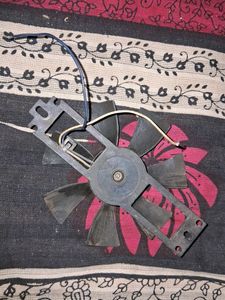 Fan
