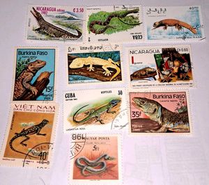10 Vintage Stamps : REPTILES