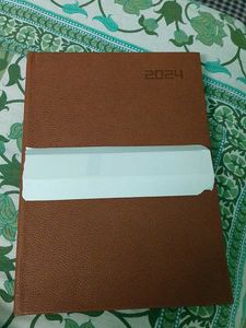 Left Over Last Year Diaries