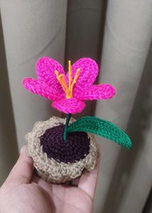 Crochet Lily Flower Pot