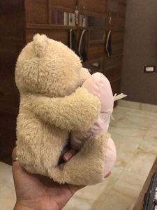 Cute Teddy Bear with Love Heart