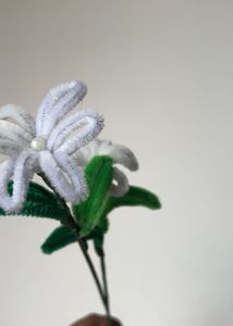 White daisy 🌸 Pipe cleaner flower