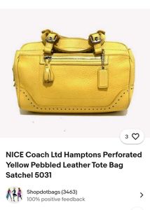 Coach Handbag (Authentic)